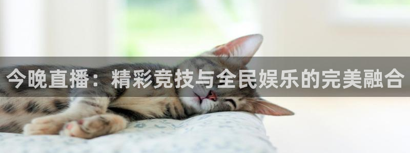 今晚直播：精彩竞技与全民娱乐的完美融合