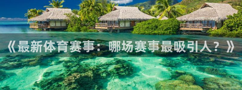 《最新体育赛事：哪场赛事最吸引人？》