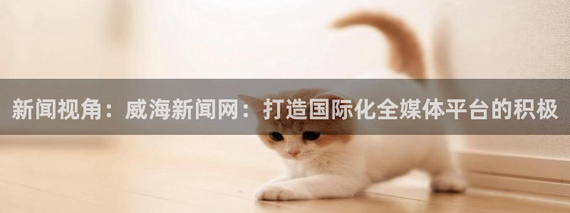 新闻视角：威海新闻网：打造国际化全媒体平台的积极