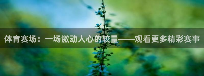 体育赛场：一场激动人心的较量——观看更多