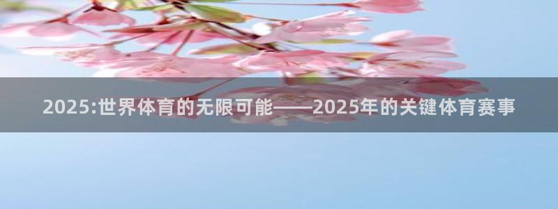 2025:世界体育的无限可能——2025