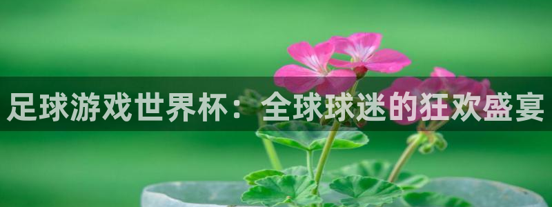 足球游戏世界杯：全球球迷的狂欢盛宴